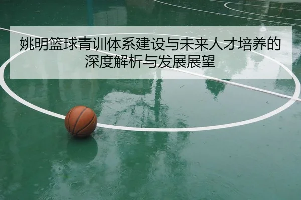 姚明篮球青训体系建设与未来人才培养的深度解析与发展展望（Kaiyun）